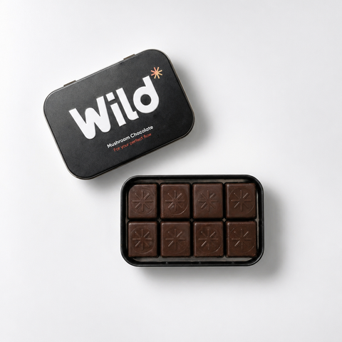 Mushroom Cacao Squares